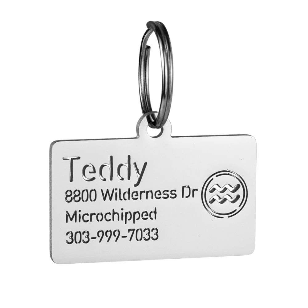 custom hollow laser-cut stainless steel aquarius zodiac dog ID tag with cut-through name lettering