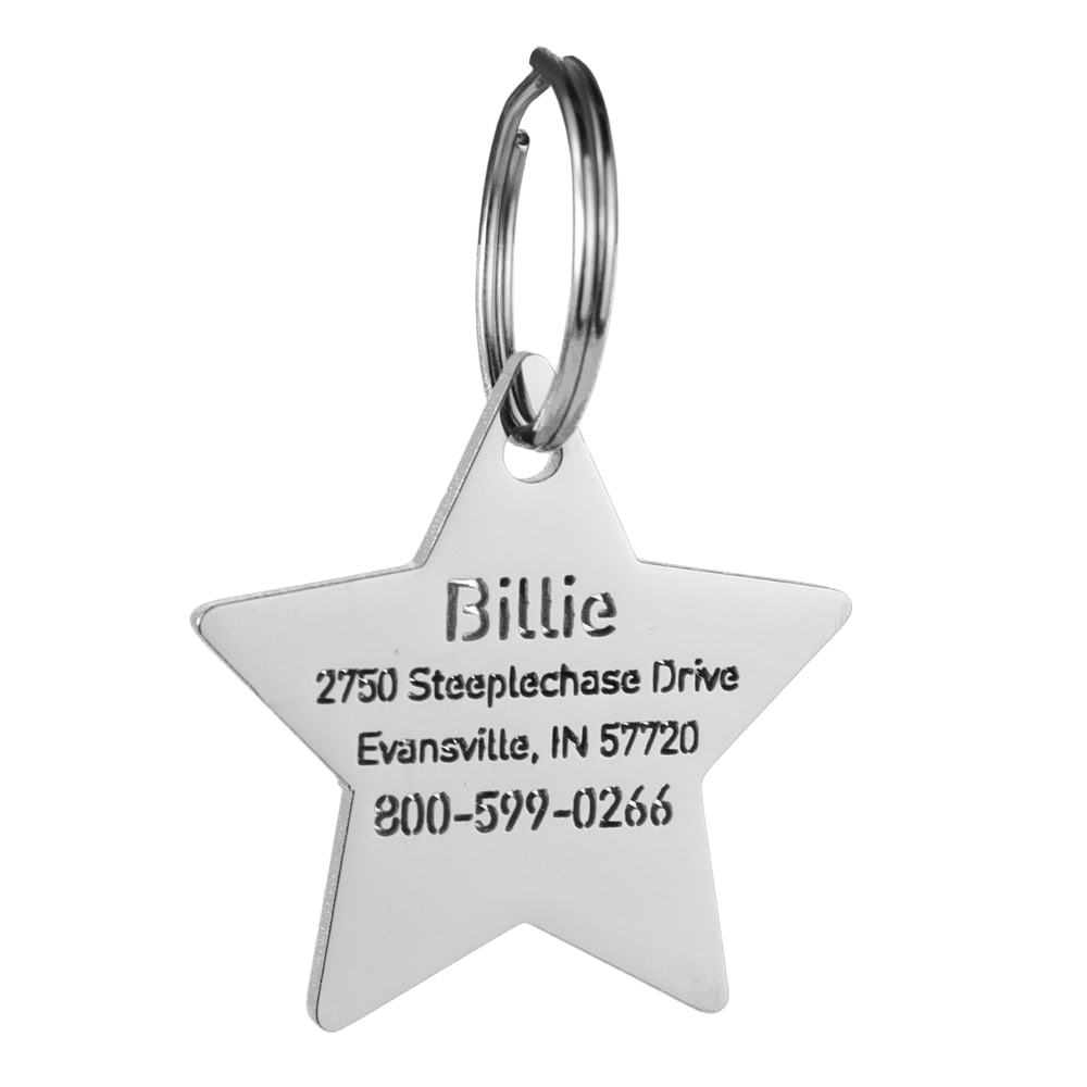 custom hollow laser-cut stainless steel big star dog ID tag with cut-through name lettering