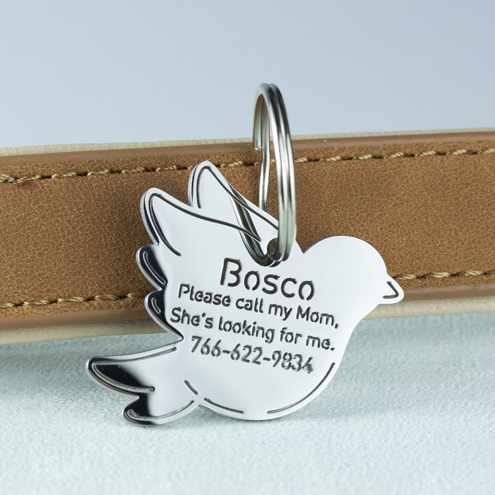 custom hollow laser-cut stainless steel bird dog ID tag with cut-through name lettering