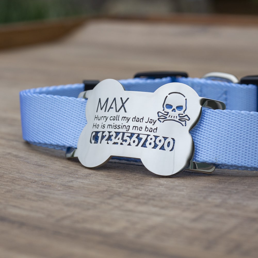custom laser-cut stainless steel bone shaped slide-on dog ID tag shown flat on a collar, with name engraving