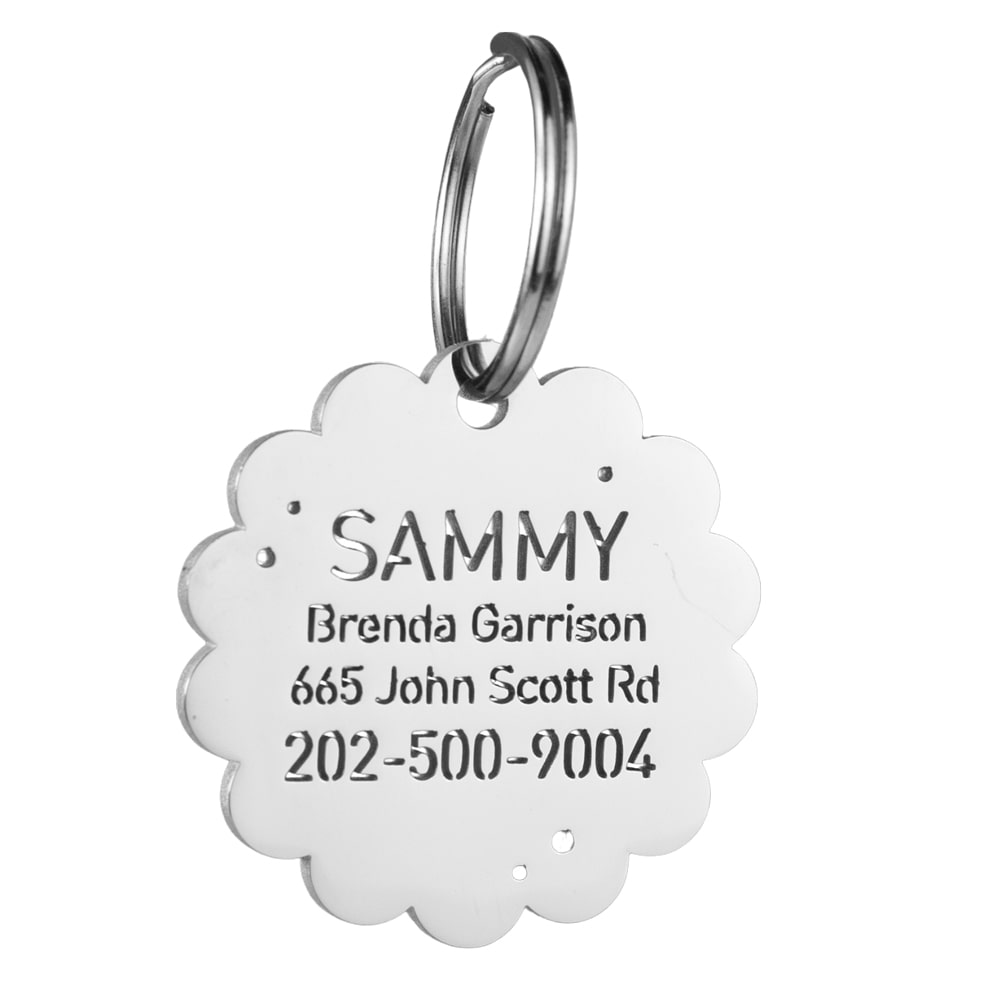 custom hollow laser-cut stainless steel cracker dog ID tag with cut-through name lettering