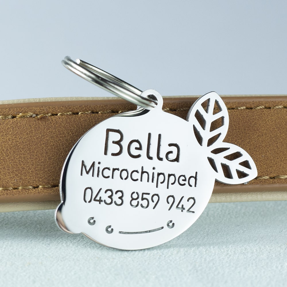 custom hollow laser-cut stainless steel lemon dog ID tag with cut-through name lettering