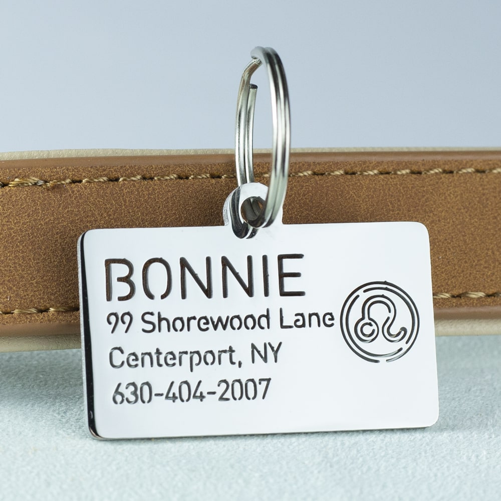 custom hollow laser-cut stainless steel leo zodiac dog ID tag with cut-through name lettering