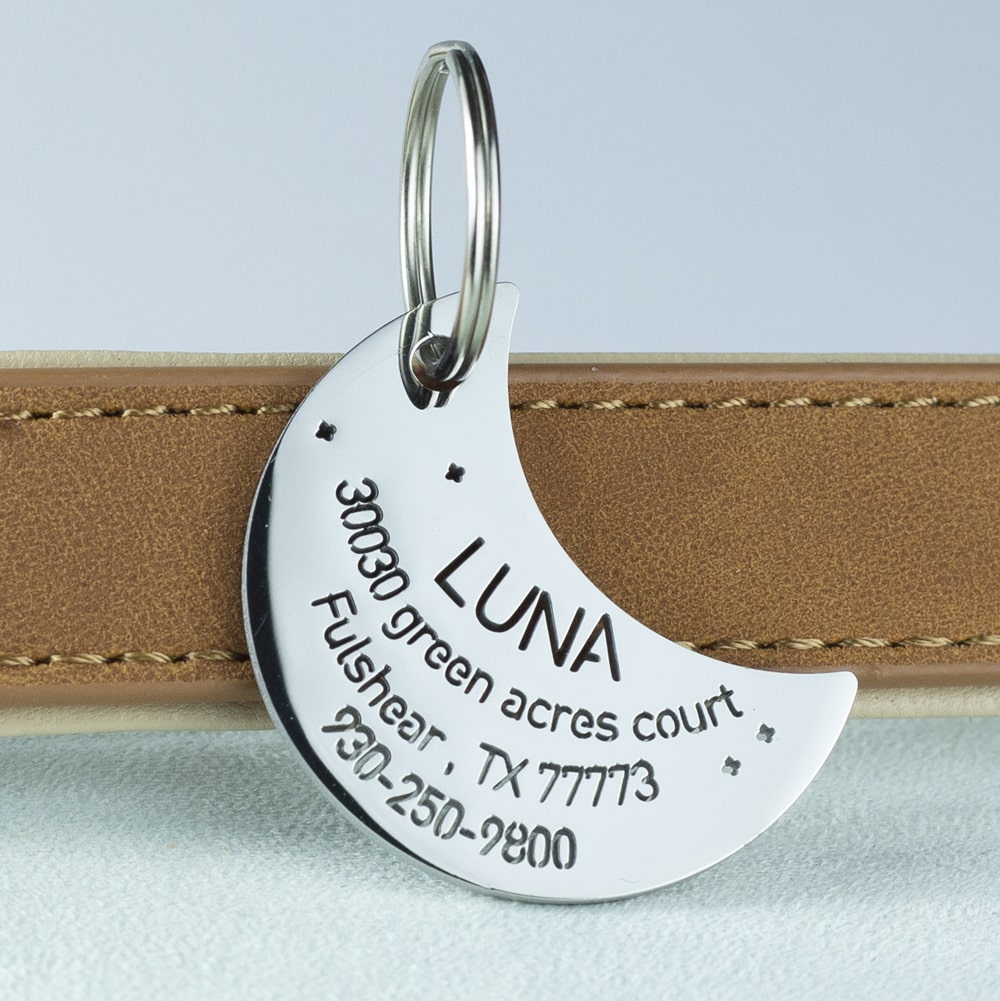 custom hollow laser-cut stainless steel moon dog ID tag with cut-through name lettering