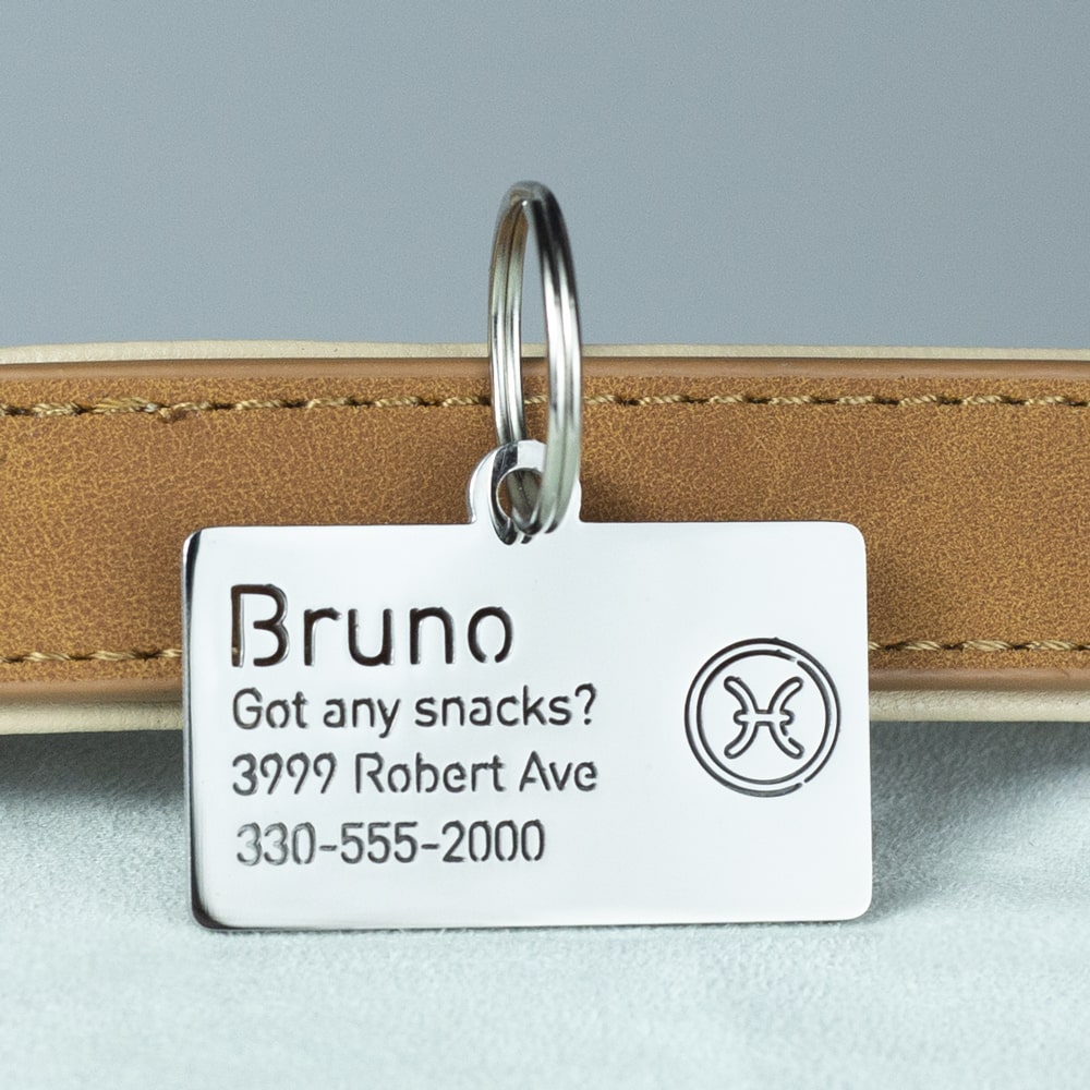 custom hollow laser-cut stainless steel pisces zodiac dog ID tag with cut-through name lettering