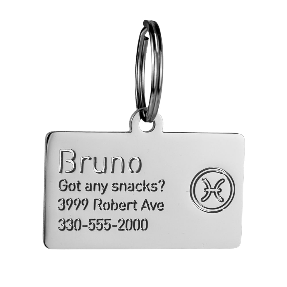 custom hollow laser-cut stainless steel pisces zodiac dog ID tag with cut-through name lettering