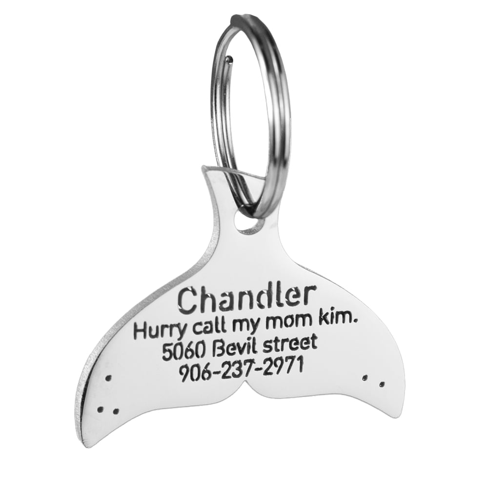 custom hollow laser-cut stainless steel whale tail dog ID tag with cut-through name lettering