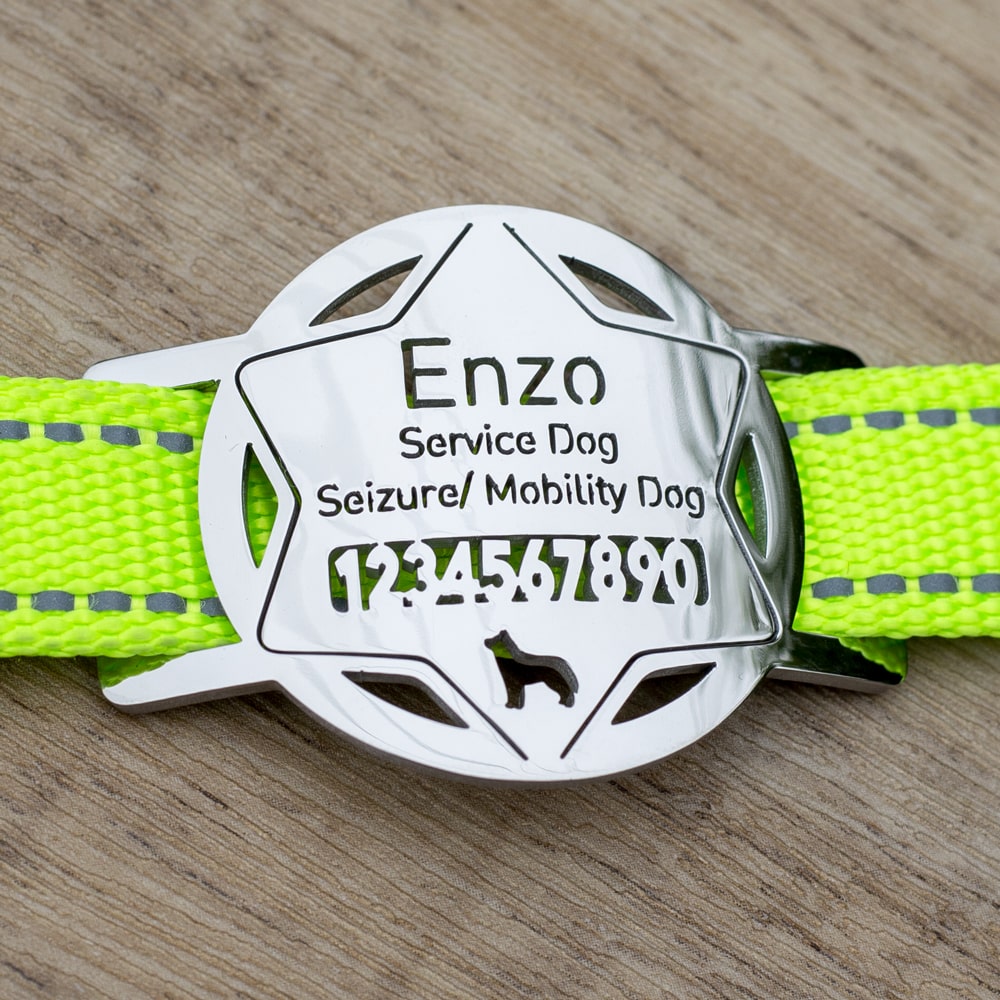 custom laser-cut stainless steel star police badge slide-on dog ID tag shown flat on a collar, with name engraving