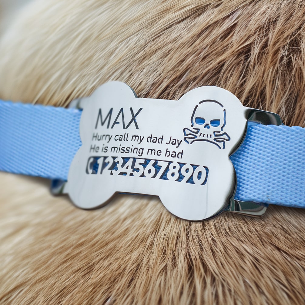 custom laser-cut stainless steel bone shaped slide-on dog ID tag shown flat on a collar, with name engraving