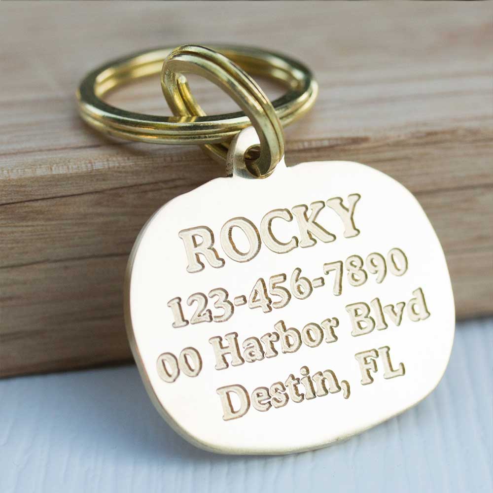 custom hollow laser-cut stainless steel pumpkin dog ID tag with cut-through name lettering