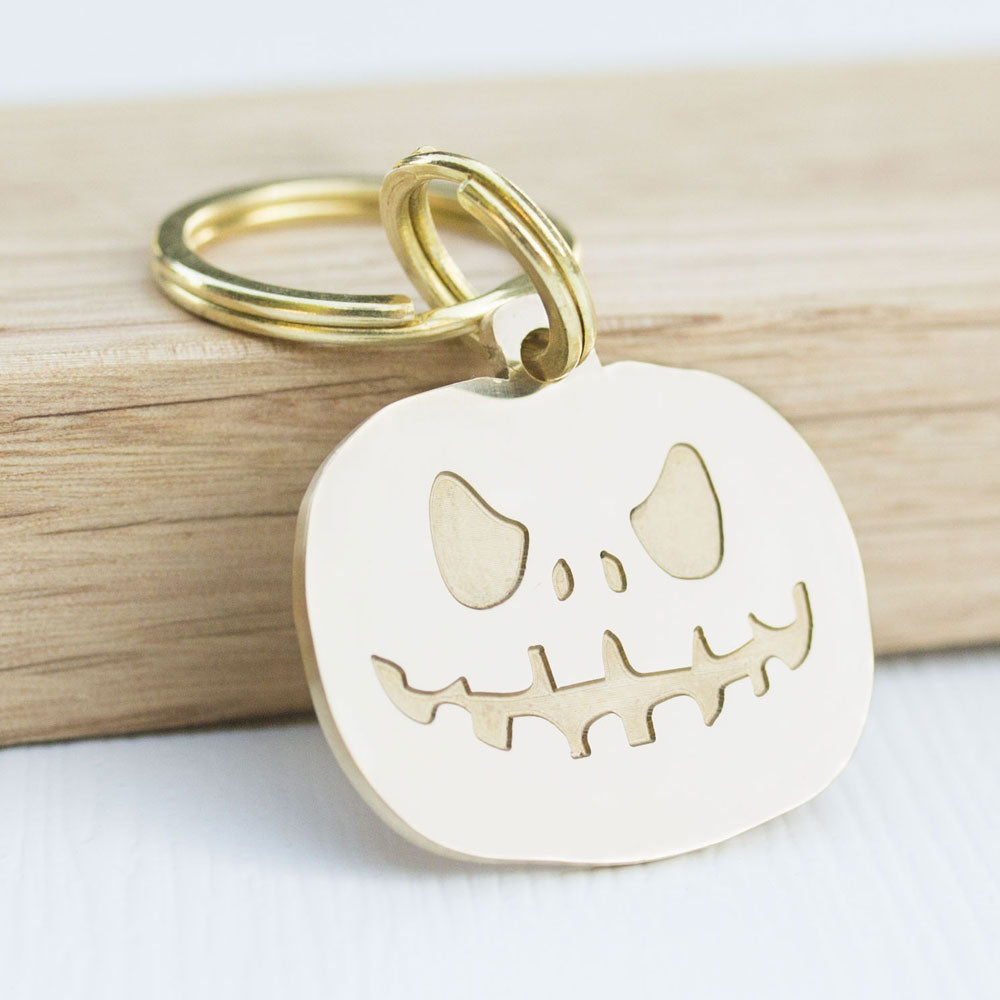custom hollow laser-cut stainless steel pumpkin dog ID tag with cut-through name lettering