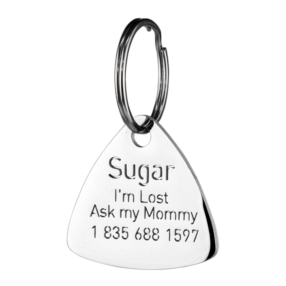 custom hollow laser-cut stainless steel triangle dog ID tag with cut-through name lettering
