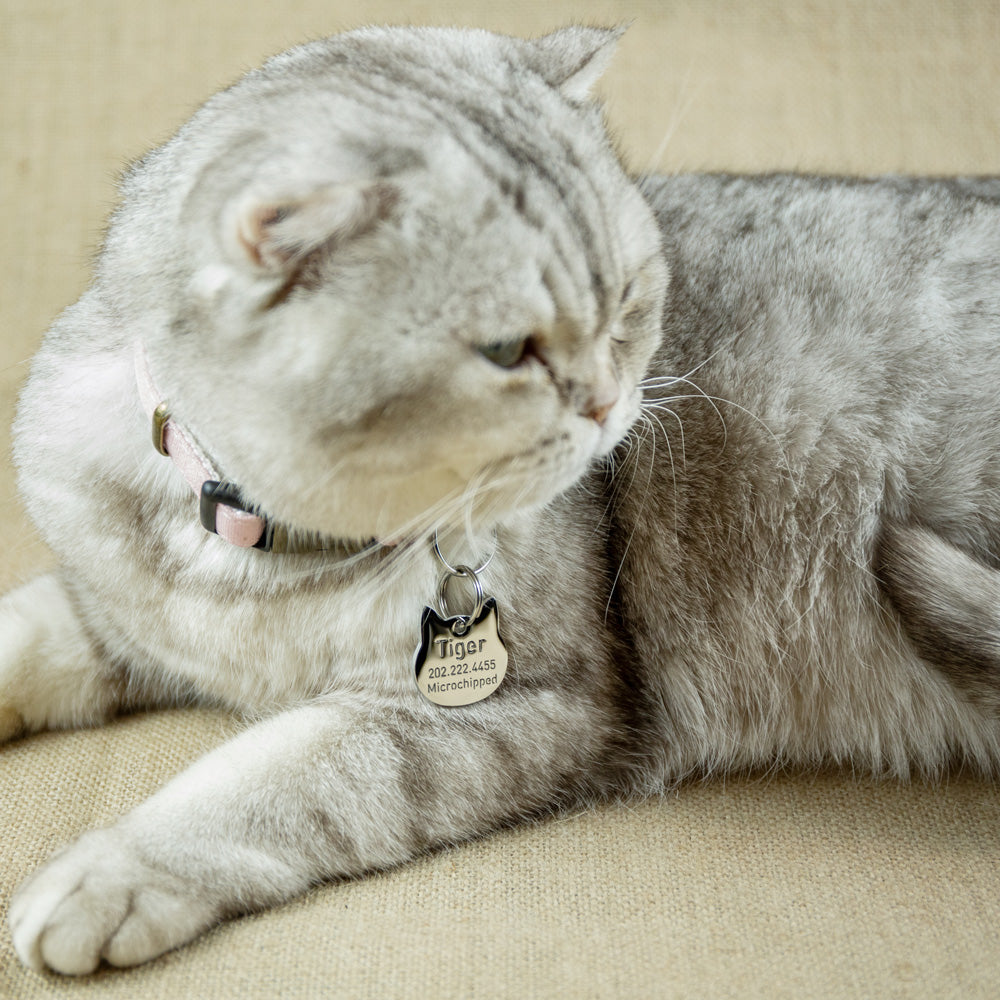 custom hollow laser-cut stainless steel hollow tags for cat with cut-through name lettering