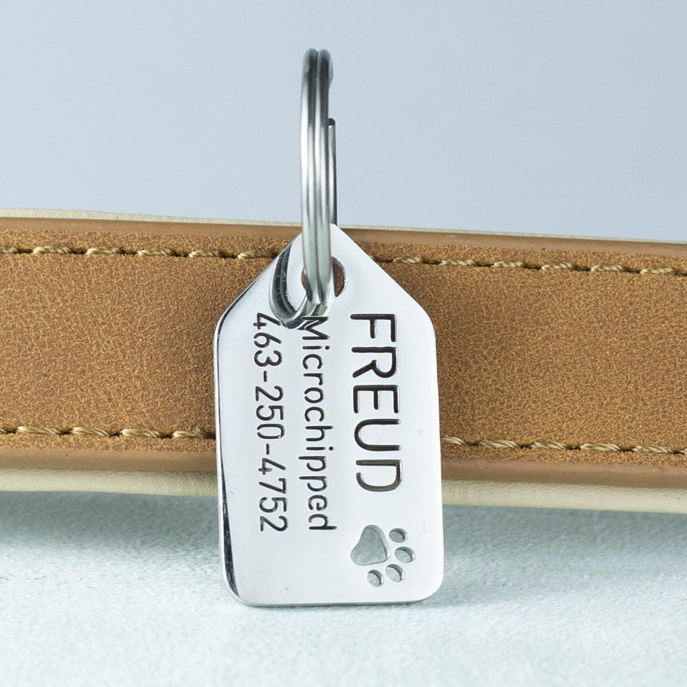 custom hollow laser-cut stainless steel small openwork dog ID tag with cut-through name lettering