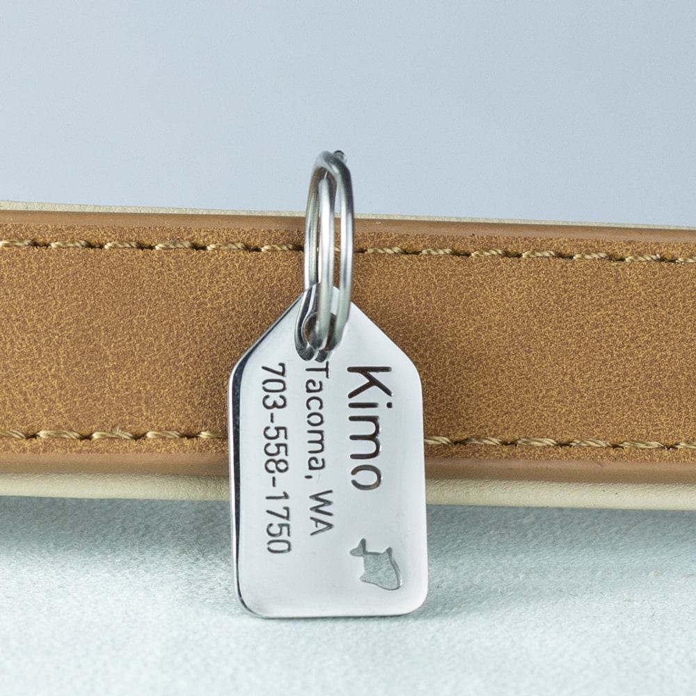 custom hollow laser-cut stainless steel small openwork dog ID tag with cut-through name lettering