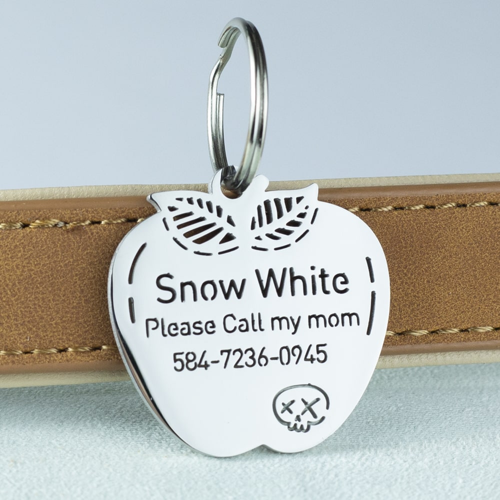 custom hollow laser-cut stainless steel apple dog ID tag with cut-through name lettering