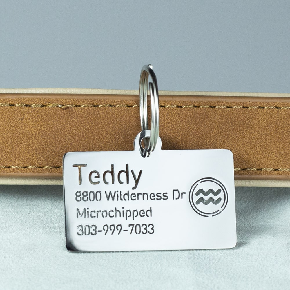 custom hollow laser-cut stainless steel aquarius zodiac dog ID tag with cut-through name lettering