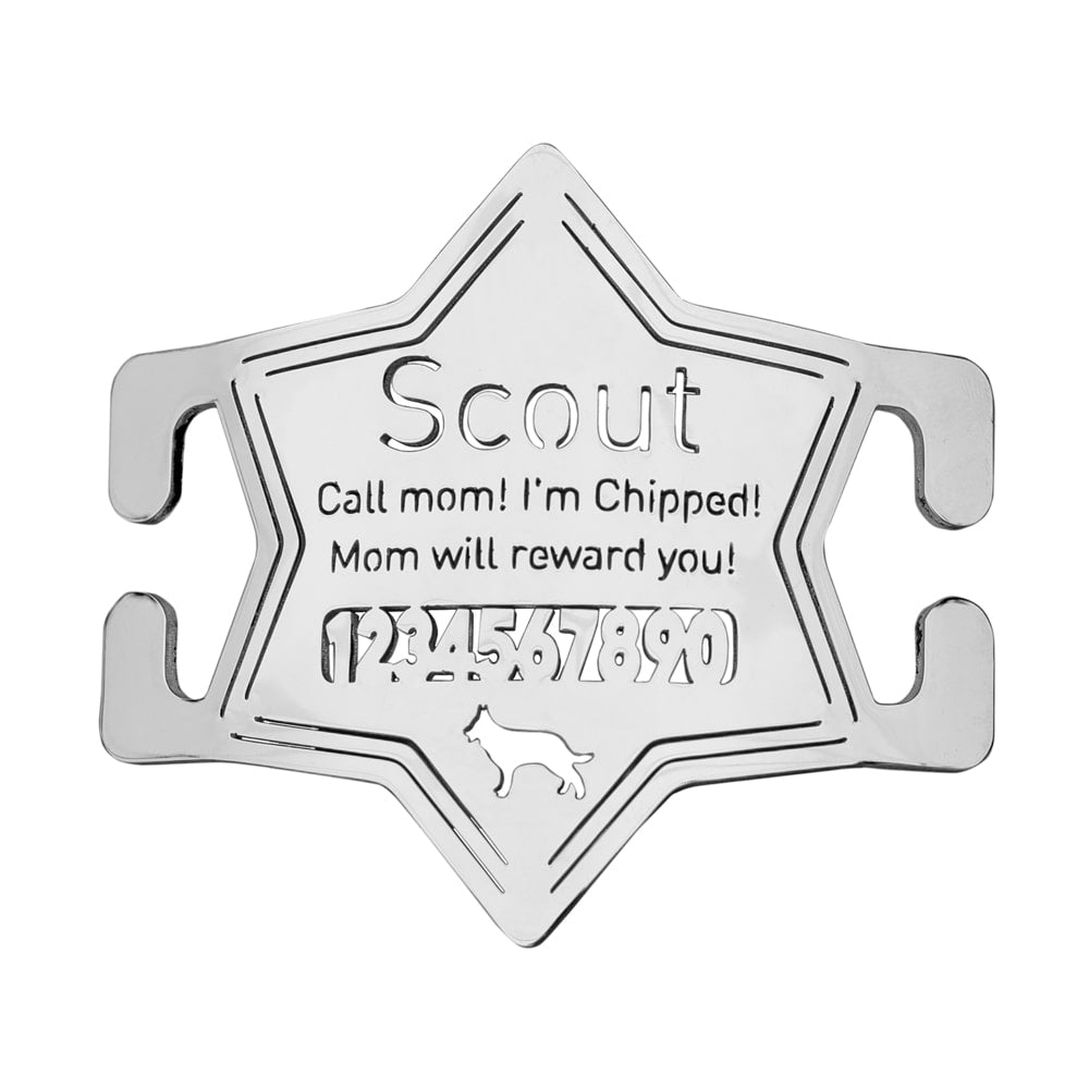 Badge-Slide-On-Pet-ID-Tag-white-background