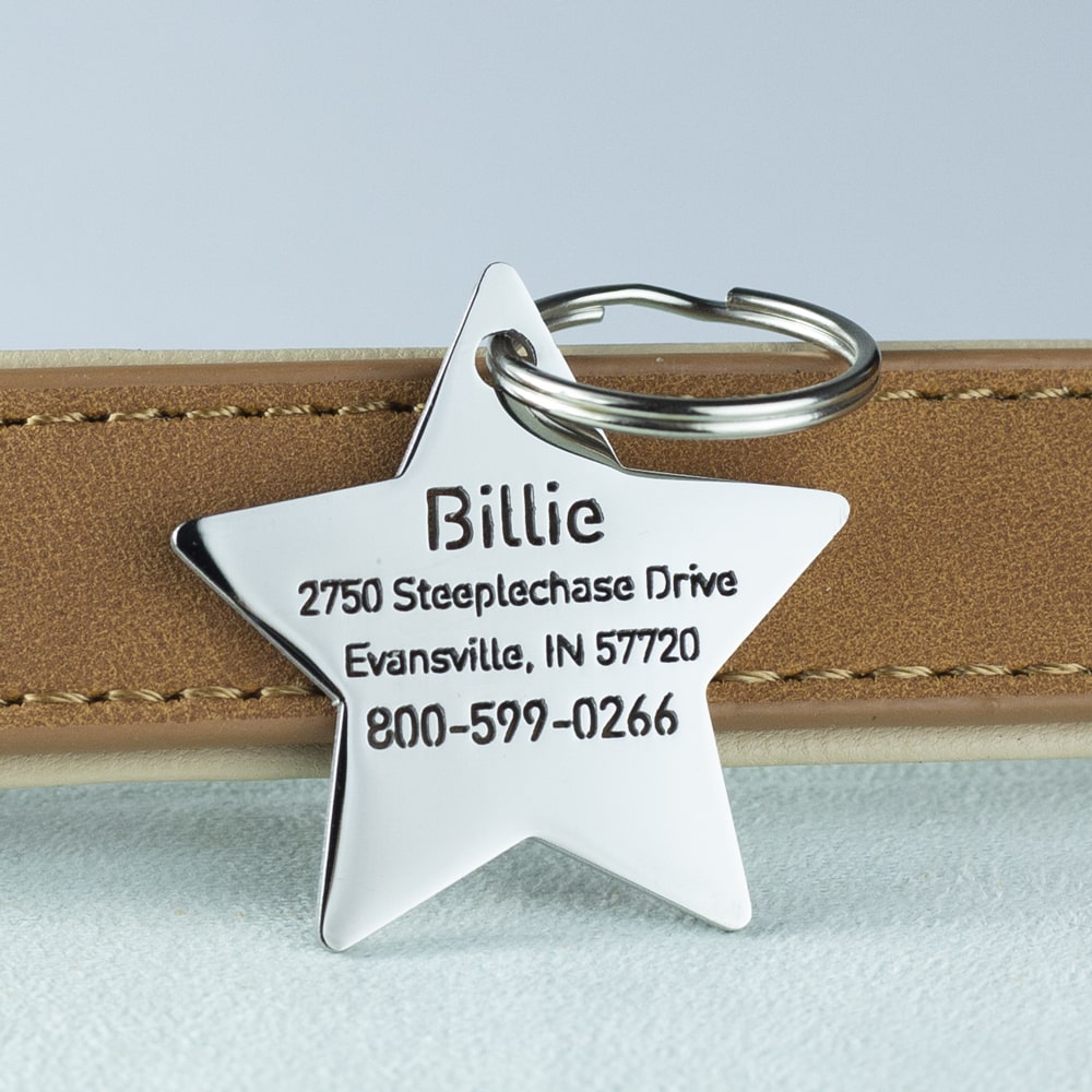 custom hollow laser-cut stainless steel big star dog ID tag with cut-through name lettering
