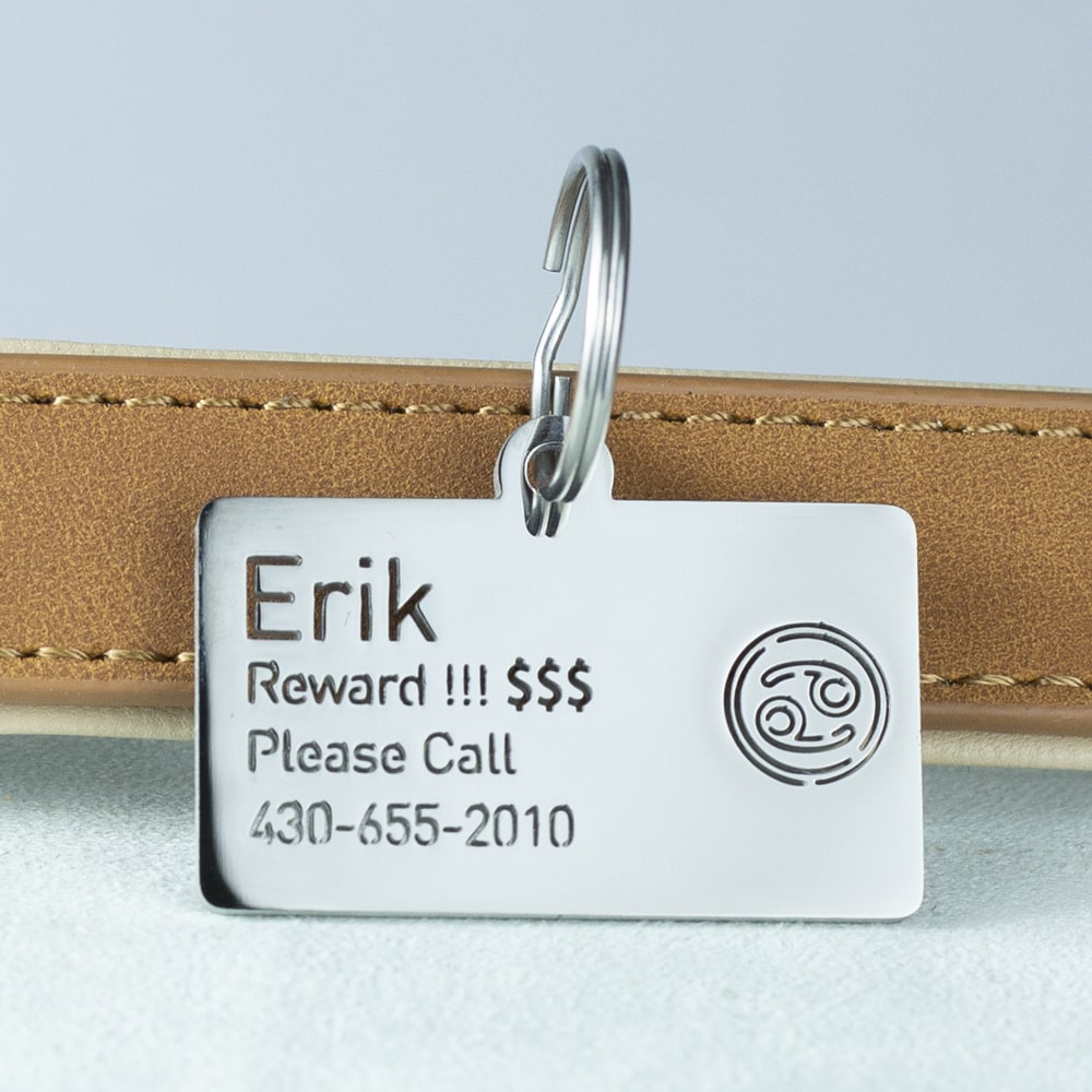 custom hollow laser-cut stainless steel cancer zodiac dog ID tag with cut-through name lettering