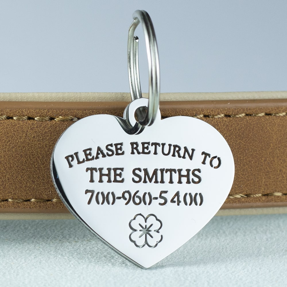 custom hollow laser-cut stainless steel classic heart dog ID tag with cut-through name lettering