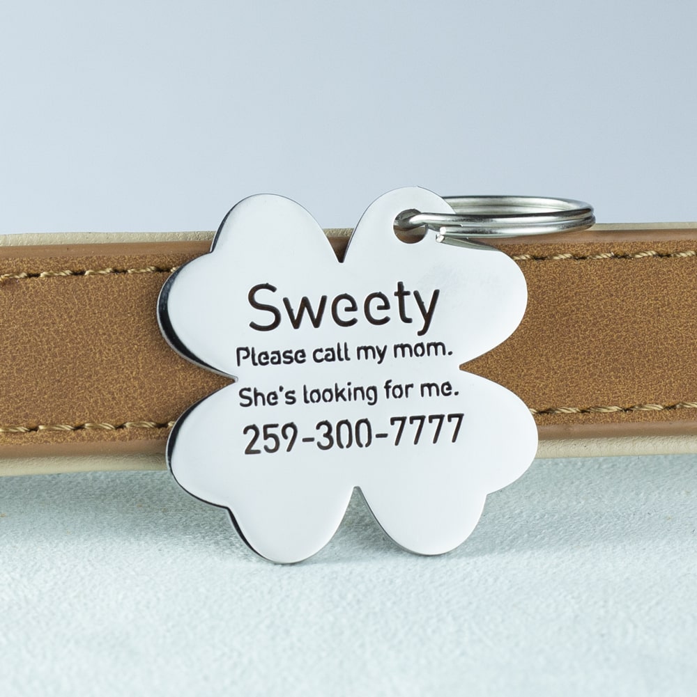 custom hollow laser-cut stainless steel clover dog ID tag with cut-through name lettering