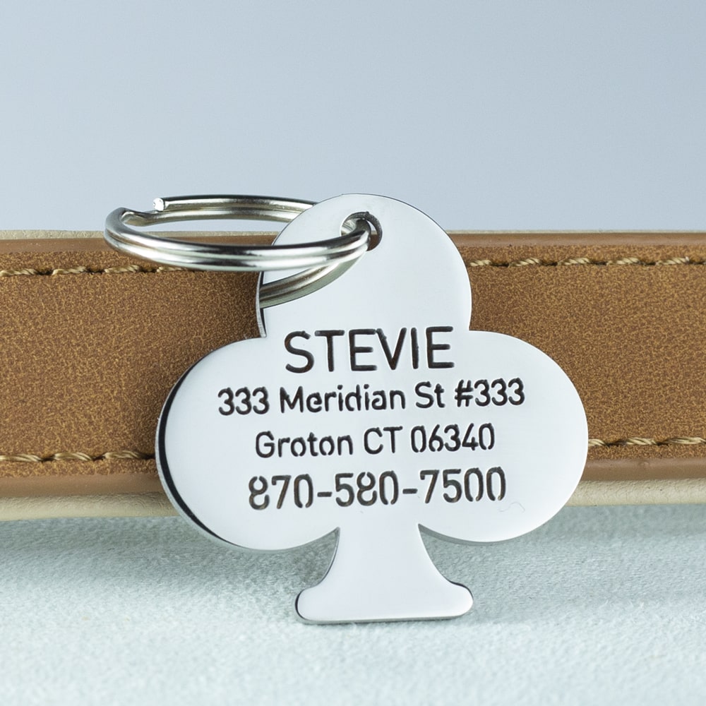 custom hollow laser-cut stainless steel clubs dog ID tag with cut-through name lettering