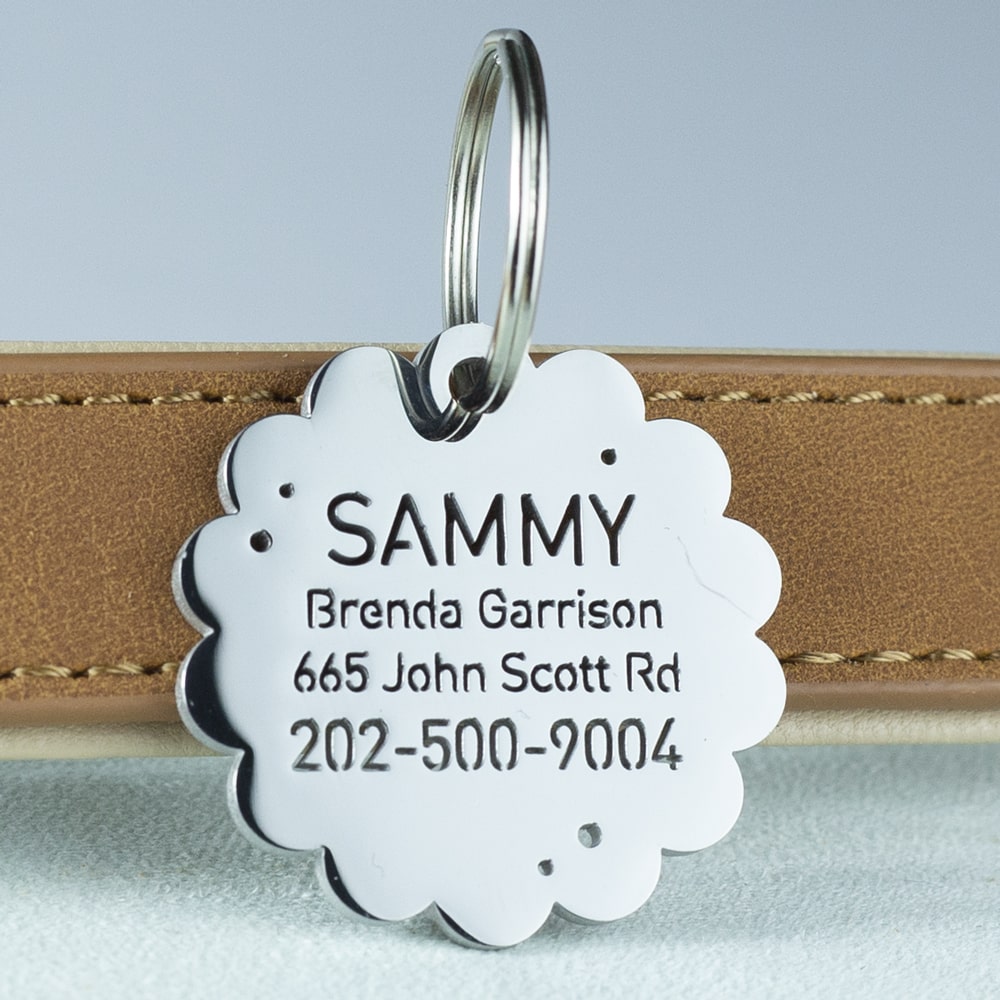 custom hollow laser-cut stainless steel cracker dog ID tag with cut-through name lettering