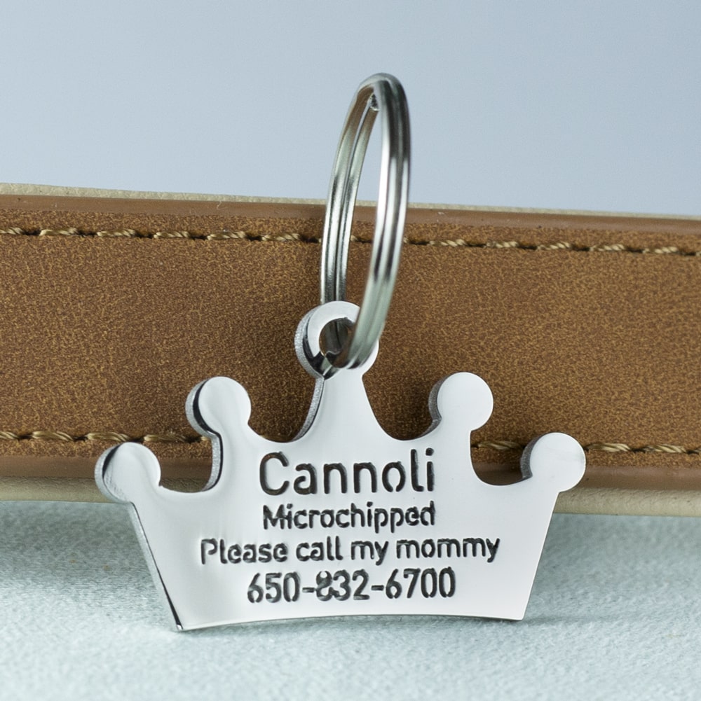 custom hollow laser-cut stainless steel crown dog ID tag with cut-through name lettering