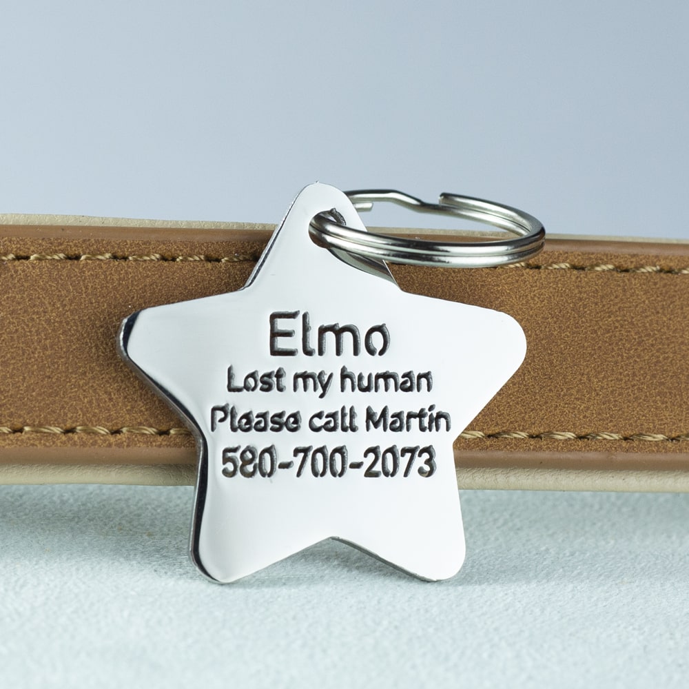 custom hollow laser-cut stainless steel cute star dog ID tag with cut-through name lettering