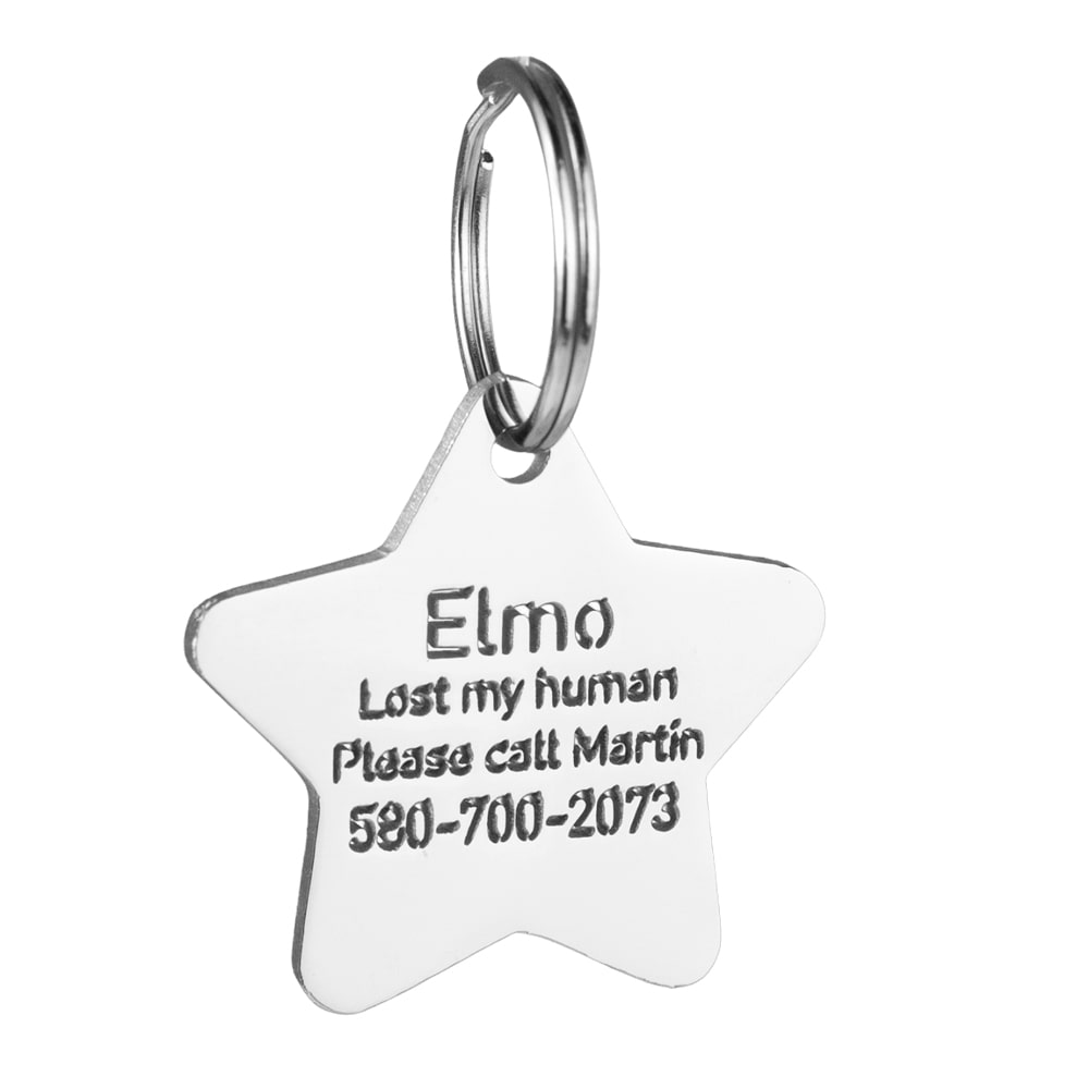 custom hollow laser-cut stainless steel cute star dog ID tag with cut-through name lettering