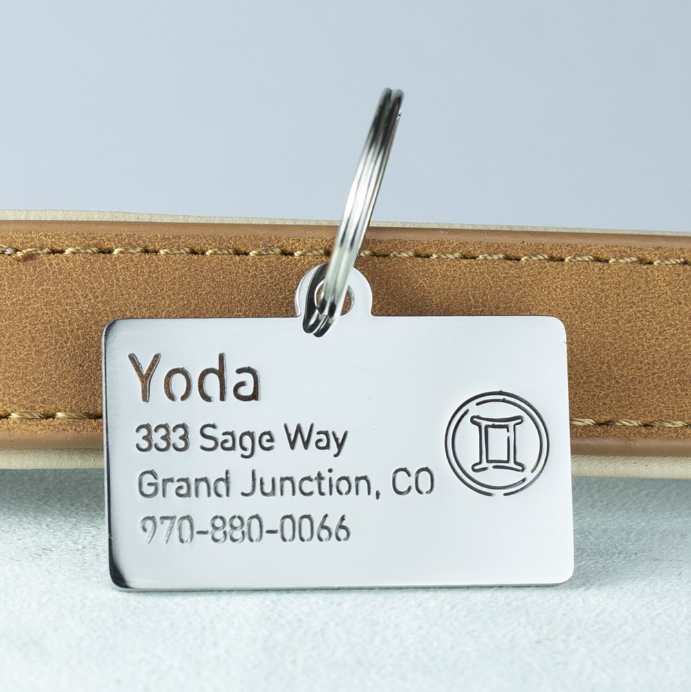 custom hollow laser-cut stainless steel gemini zodiac dog ID tag with cut-through name lettering