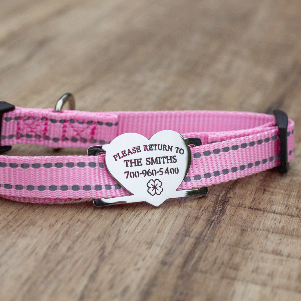 custom laser-cut stainless steel heart shaped slide-on dog ID tag shown flat on a collar, with name engraving