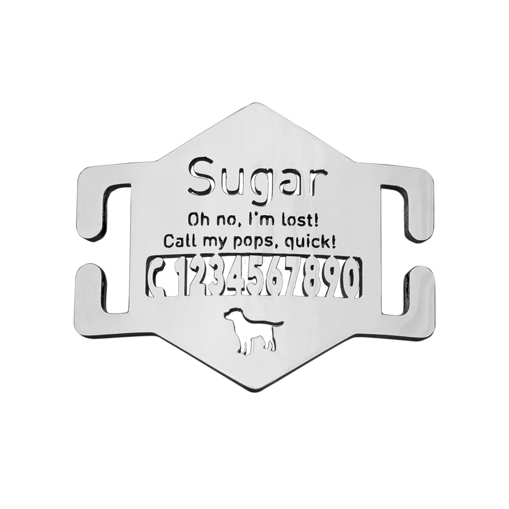 Hexagon-Slide-On-Pet-ID-Tag