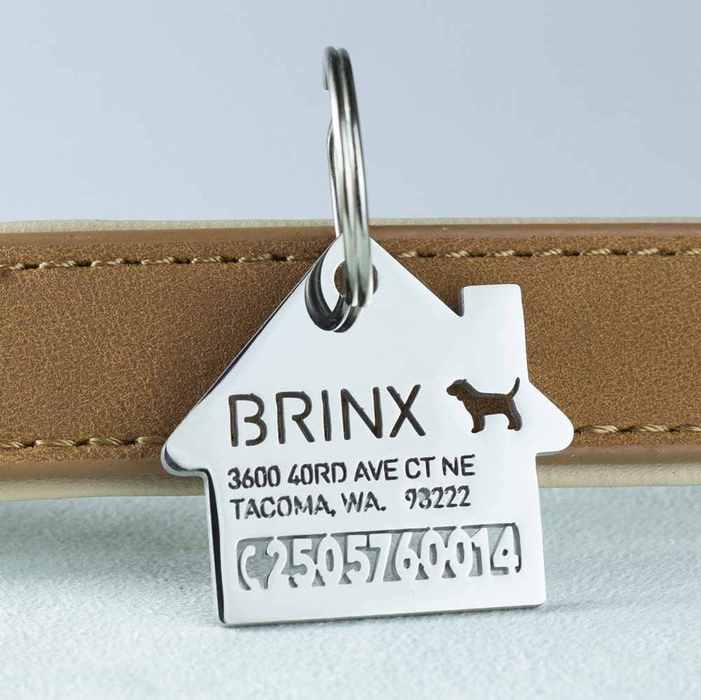 custom hollow laser-cut stainless steel home dog ID tag with cut-through name lettering