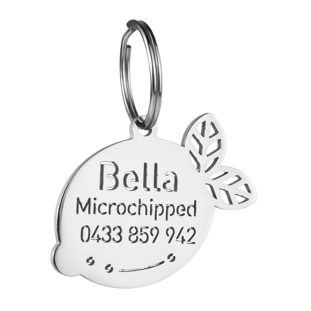 custom hollow laser-cut stainless steel lemon dog ID tag with cut-through name lettering