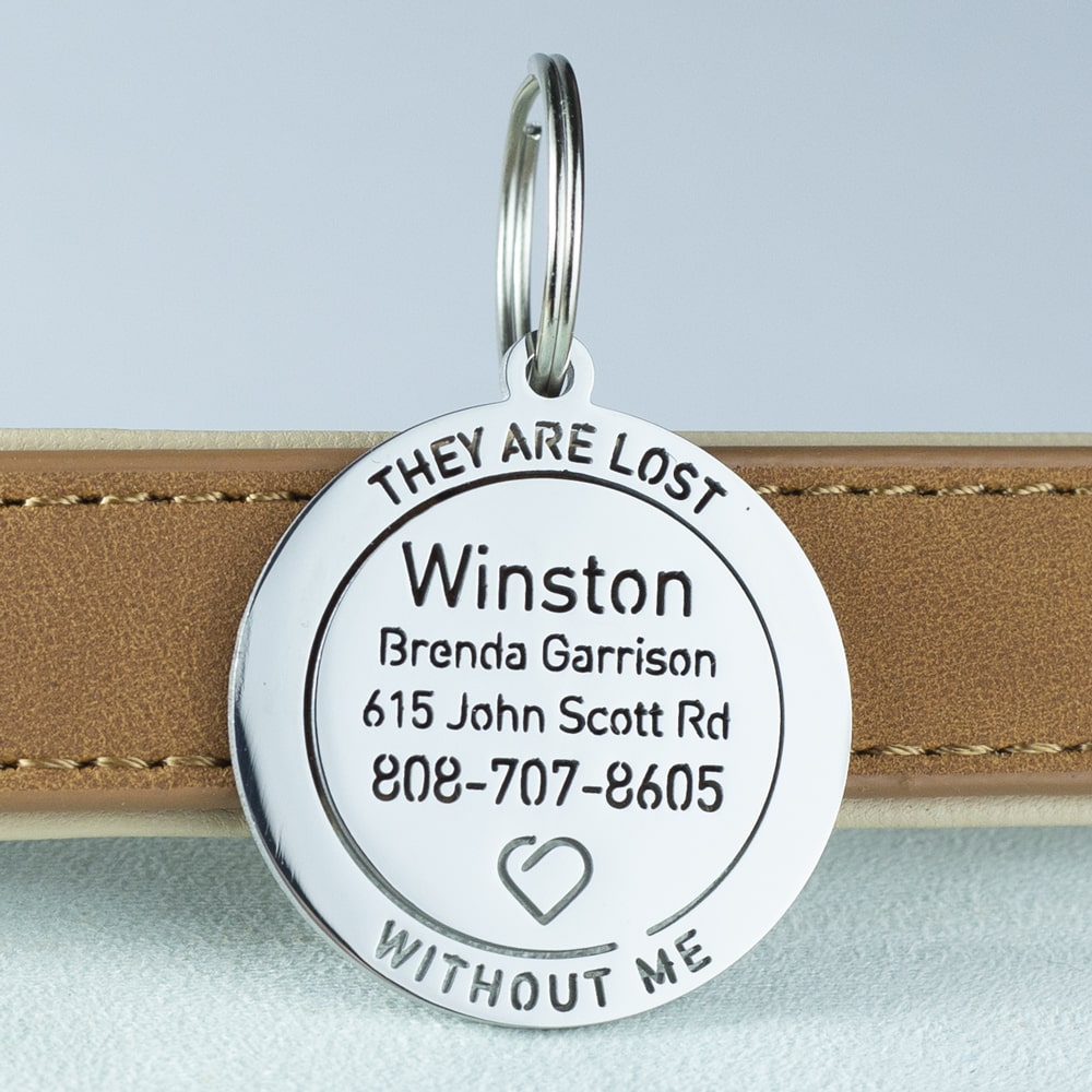 custom hollow laser-cut stainless steel medal dog ID tag with cut-through name lettering