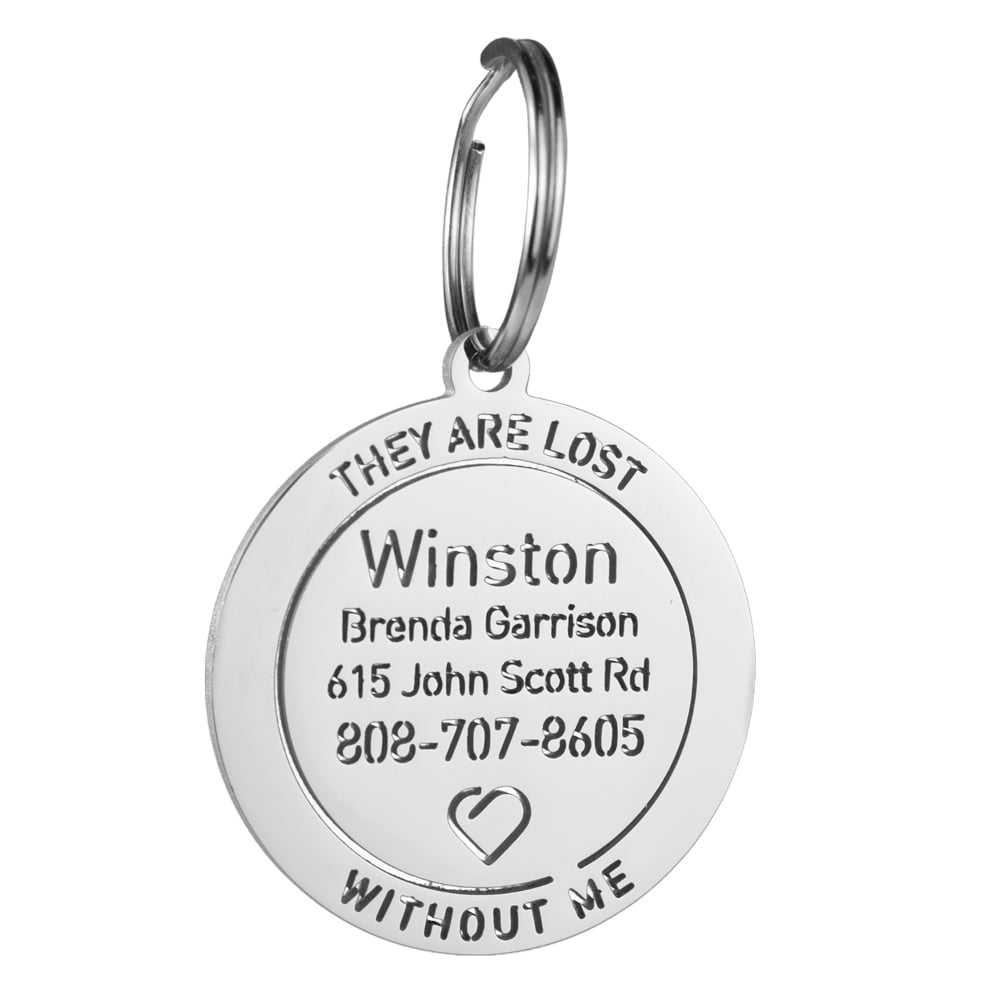 custom hollow laser-cut stainless steel medal dog ID tag with cut-through name lettering