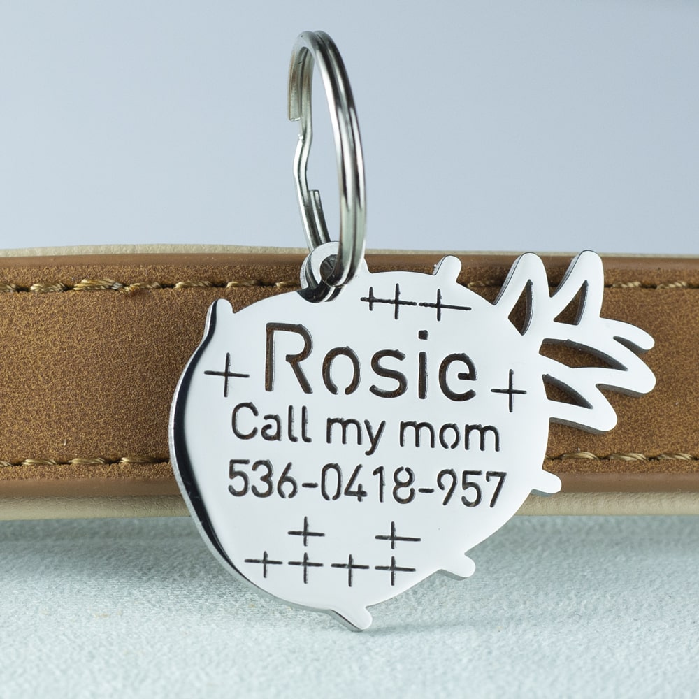 custom hollow laser-cut stainless steel pineapple dog ID tag with cut-through name lettering