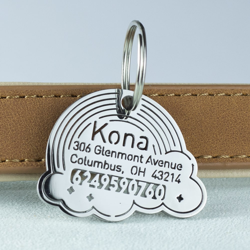 custom hollow laser-cut stainless steel rainbow dog ID tag with cut-through name lettering