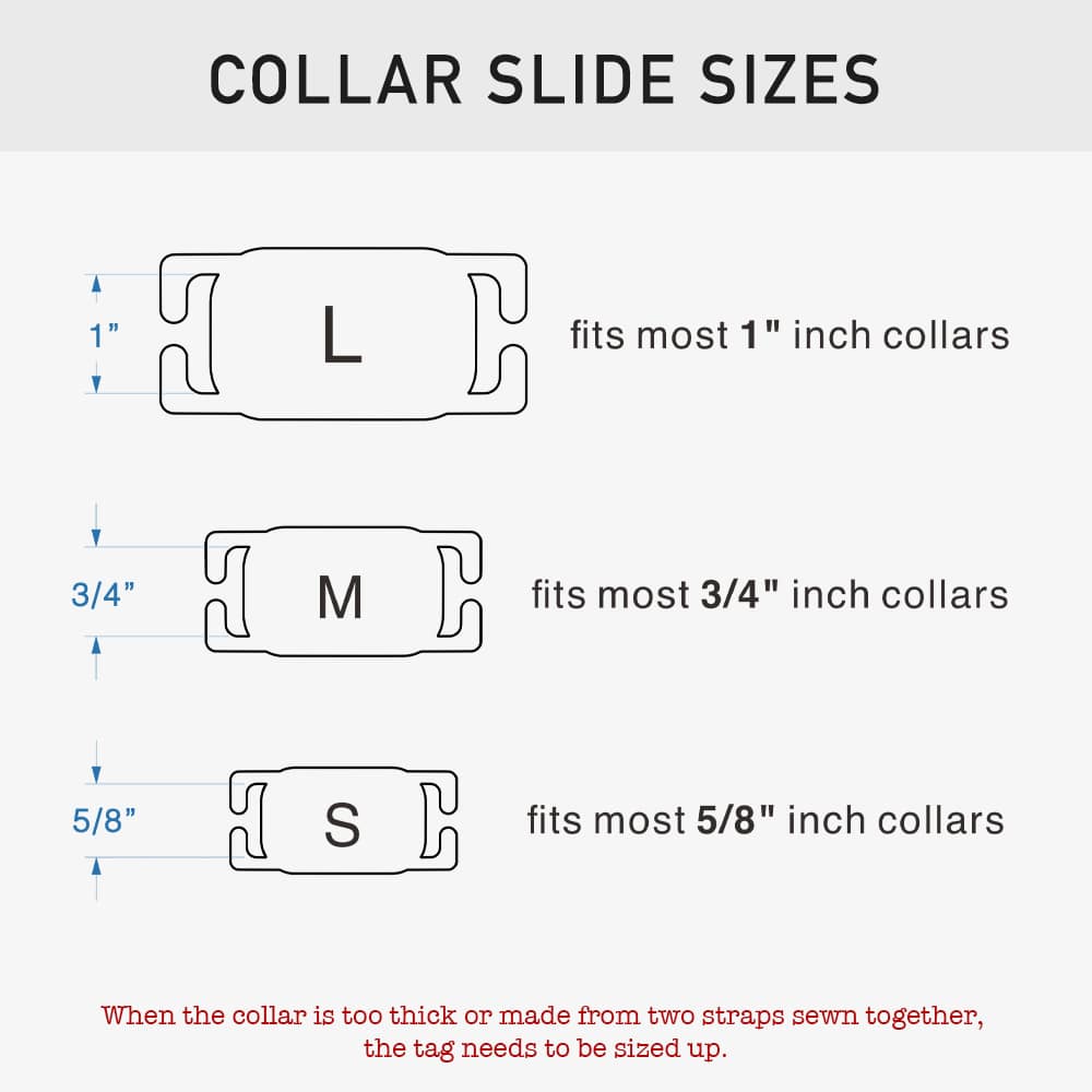 custom laser-cut stainless steel rectangle slide-on dog ID tag shown flat on a collar, with name engraving