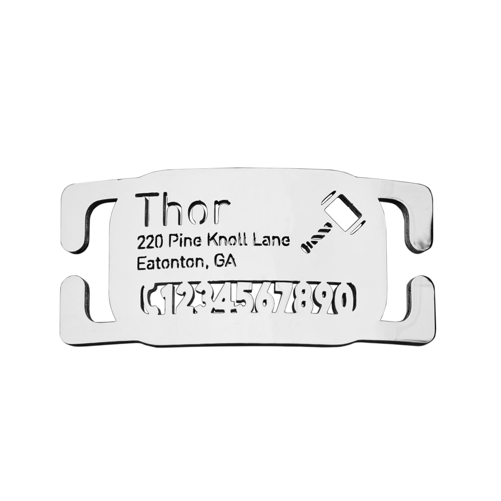 custom laser-cut stainless steel rectangle slide-on dog ID tag shown flat on a collar, with name engraving