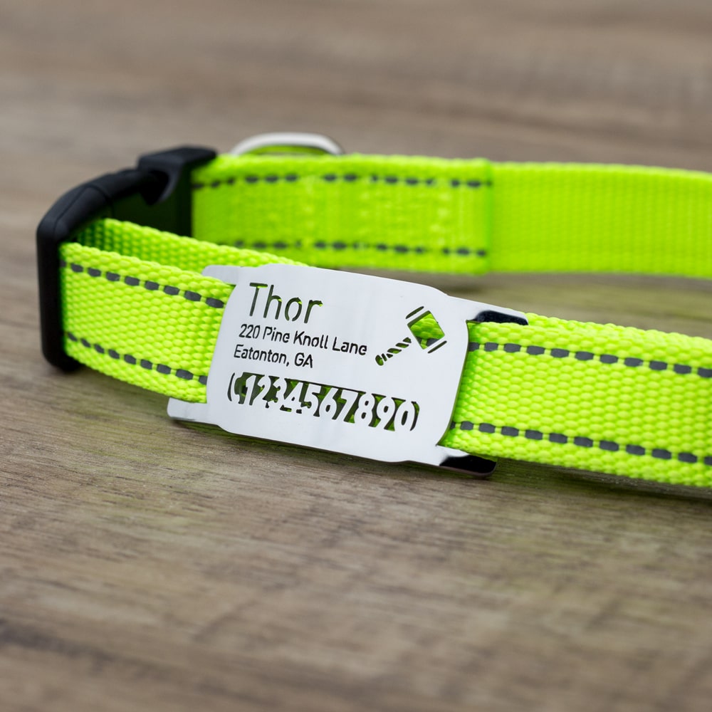 custom laser-cut stainless steel rectangle slide-on dog ID tag shown flat on a collar, with name engraving