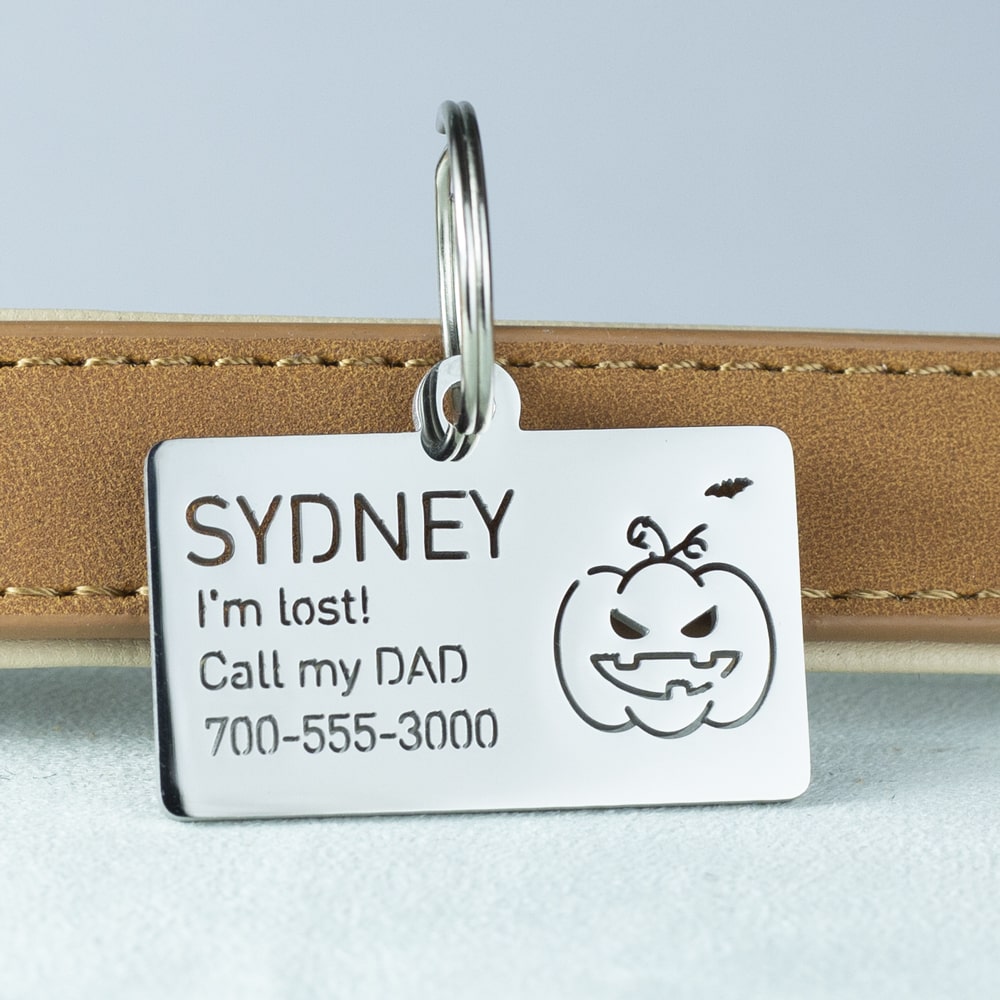 custom hollow laser-cut stainless steel rectangle dog ID tag with pumpkin icon with cut-through name lettering