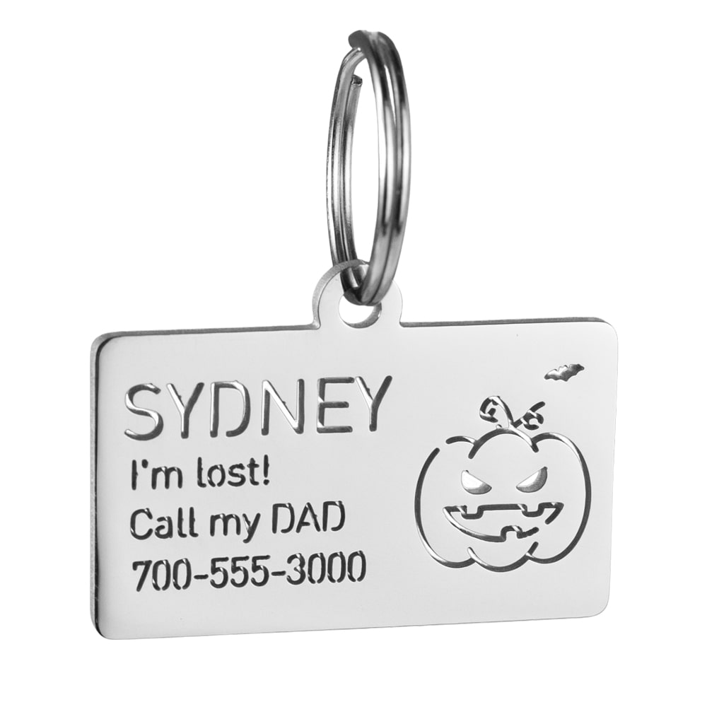 custom hollow laser-cut stainless steel rectangle dog ID tag with pumpkin icon with cut-through name lettering