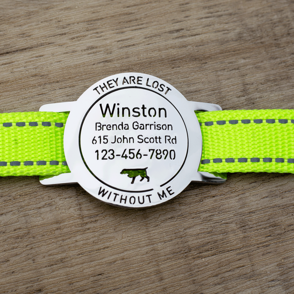 custom laser-cut stainless steel slide-on round dog ID tag shown flat on a collar, with name engraving