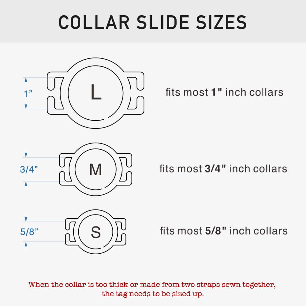 custom laser-cut stainless steel slide-on round dog ID tag shown flat on a collar, with name engraving