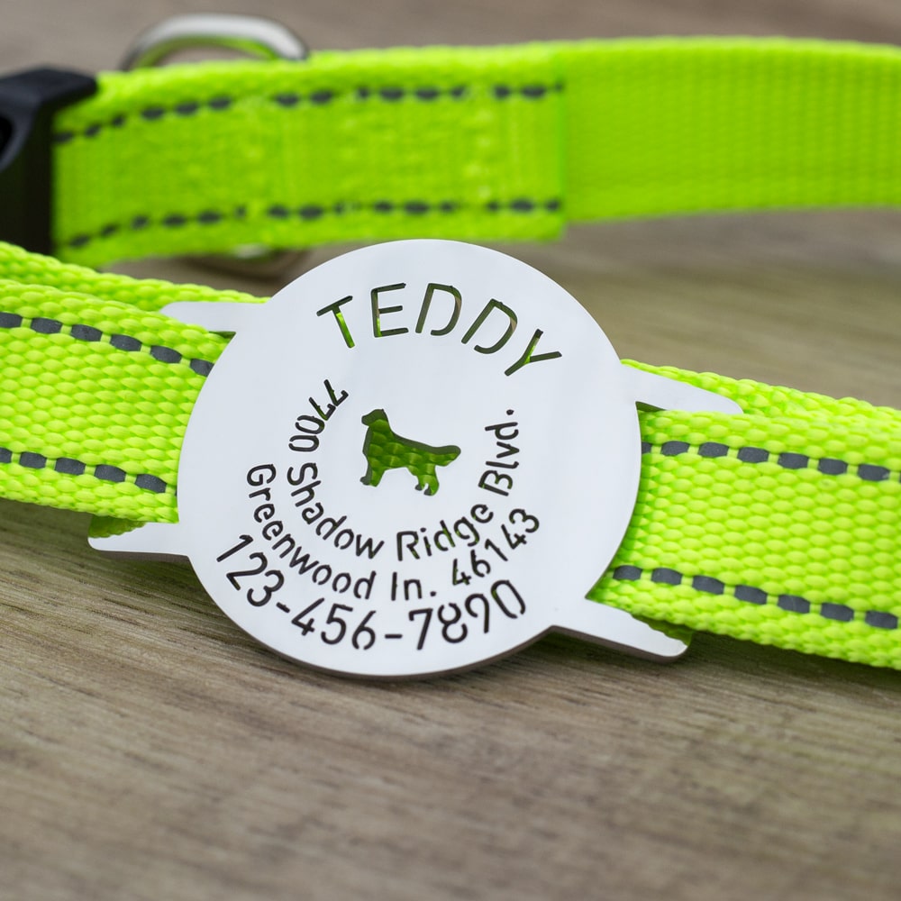 Slide-On-Round-Pet-ID-Tag-on-the-collar
