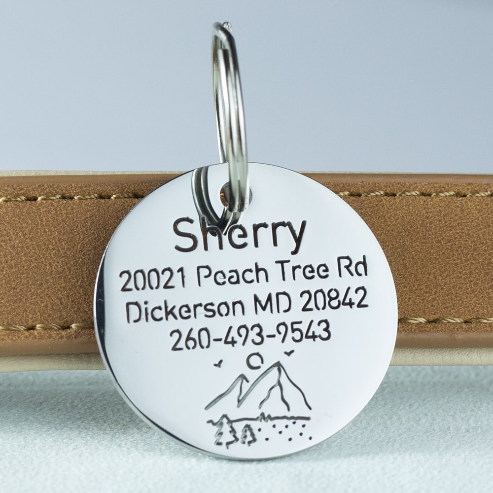 custom hollow laser-cut stainless steel round dog ID tag with hills icon with cut-through name lettering