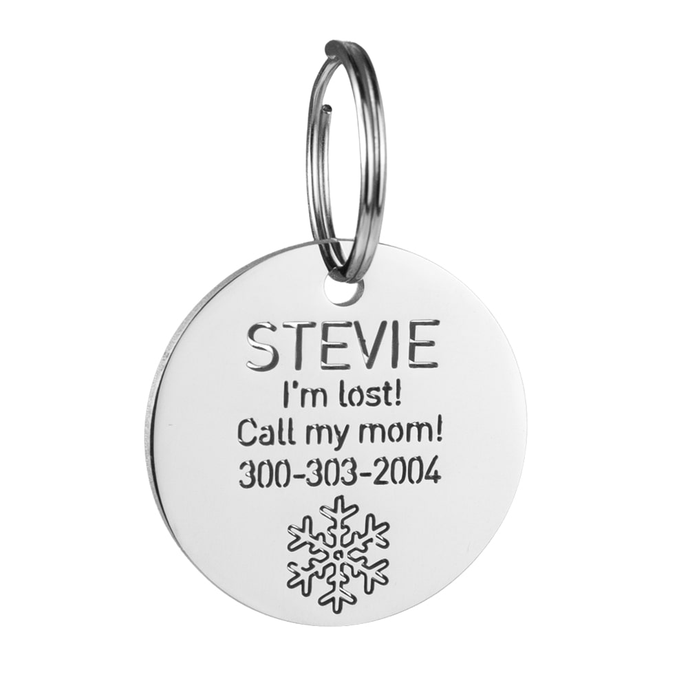 custom hollow laser-cut stainless steel round dog ID tag with snowflake icon with cut-through name lettering